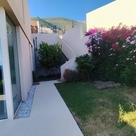 Contemporary Two Story *